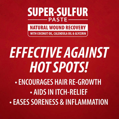 Jeffers Super Sulfur Natural Healing Paste for Dogs, Cats & Horses 8 oz – Wound Care, Skin & Coat Support for Animals, Soothes Itching & Inflammation, Dry Rough Flaky Skin, Hot Spots, Paw, Hoof Care