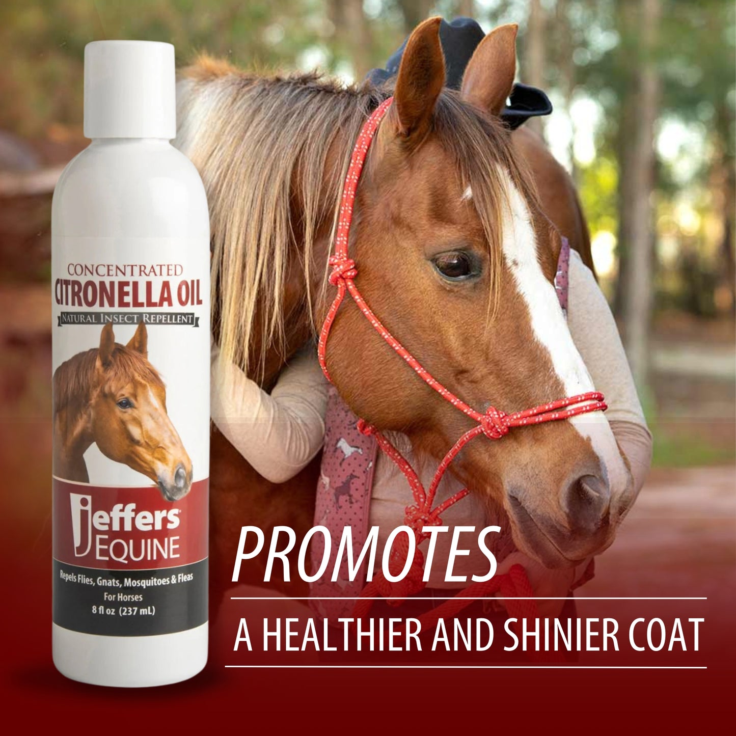 jeffers citronella oil for horses, 8 oz concentrate, makes up to 120 oz spray, 100% pure citronella oil, natural grooming additive, fresh scent formula for equine coat care