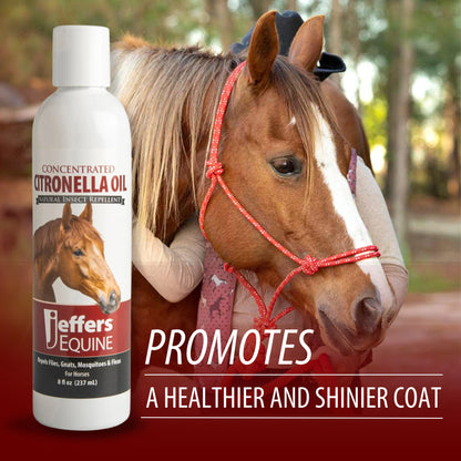 Jeffers Citronella Oil for Horses, 8 oz Concentrate, Makes Up to 120 oz Spray, 100% Pure Citronella Oil, Natural Grooming Additive, Fresh Scent Formula for Equine Coat Care