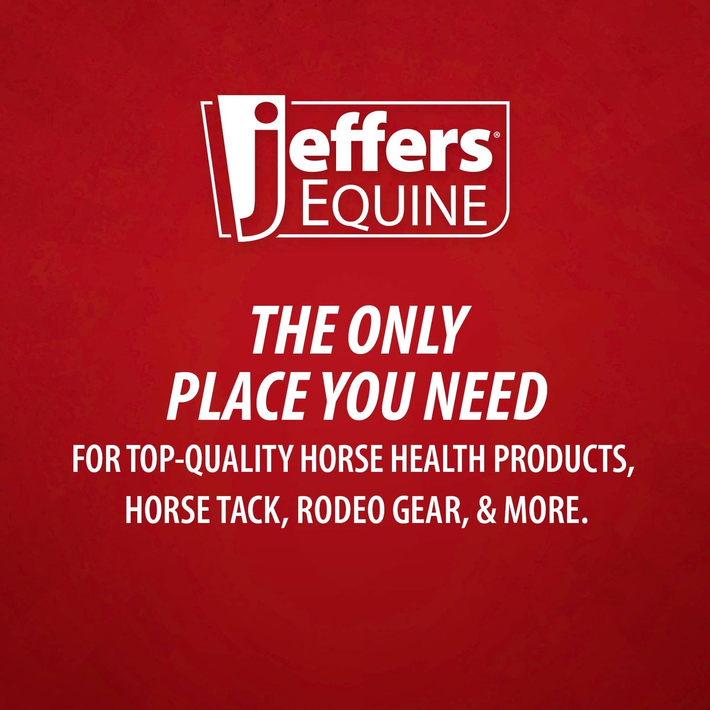 jeffers equine regular curved replacement blade for float for horses – stainless steel equine dental float blade, horse teeth filing tool for barn, stable, veterinary use