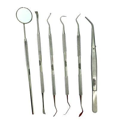 Jeffers Pet 6 Piece Stainless Steel Dental Tool Kit for Dogs & Cats – Tooth Scaler, Scraper, Probe Pick, Mirror, Tweezers & Stain Remover – Pet Grooming Tools, Teeth Cleaning Set, Hygiene Accessories