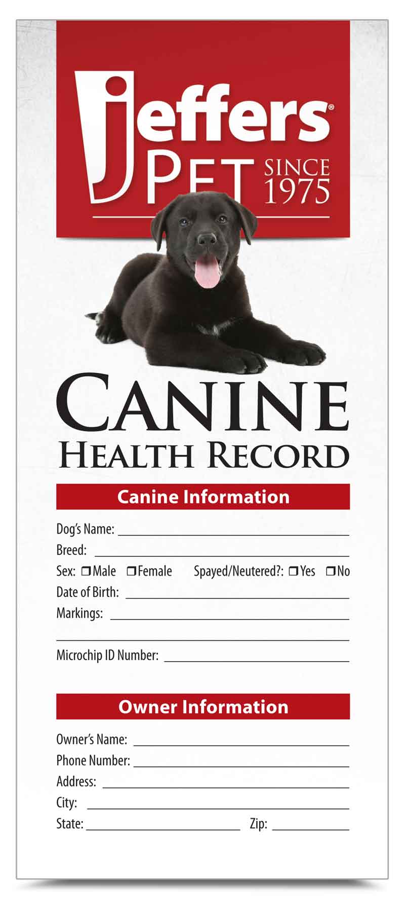dog record, single