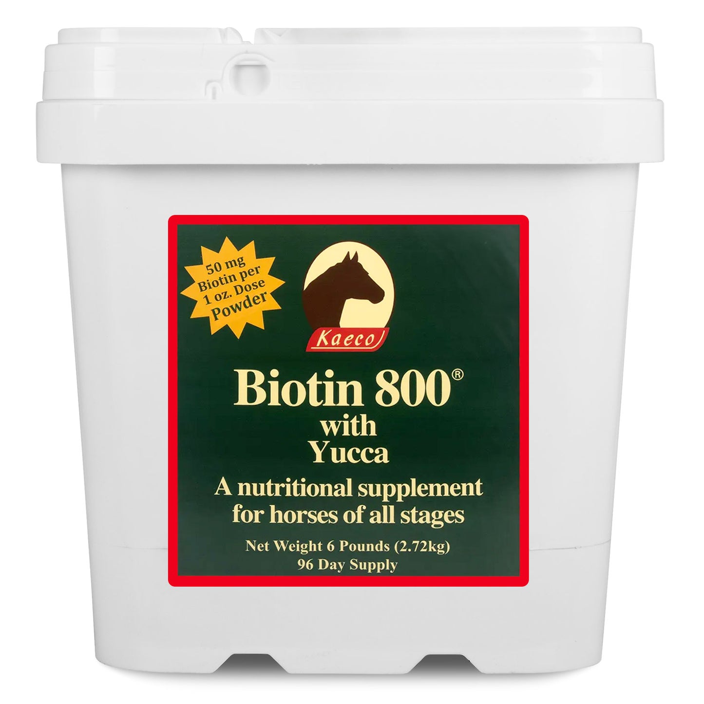 biotin 800 powder 6 lb