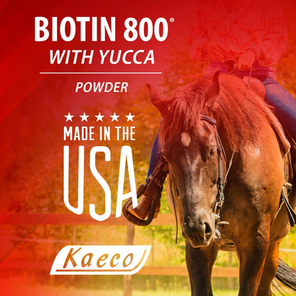 Biotin 800 Powder 2 lb