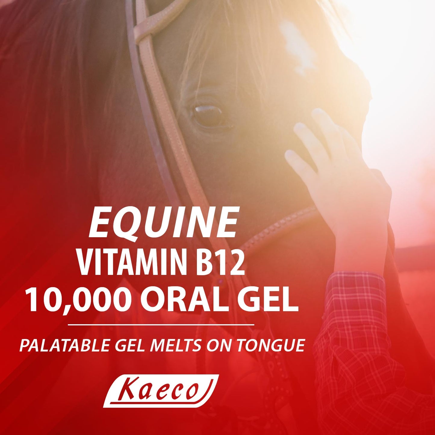 equine vit b12 10,000 gel 15ml