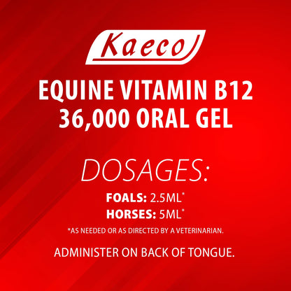 Equine Vitamin B12 36000 gel 15 ml tube- May come in brown