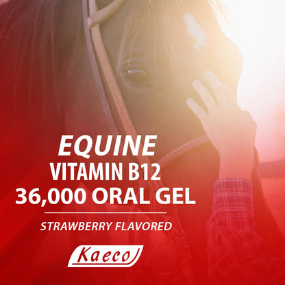 Equine Vitamin B12 36000 gel 15 ml tube- May come in brown