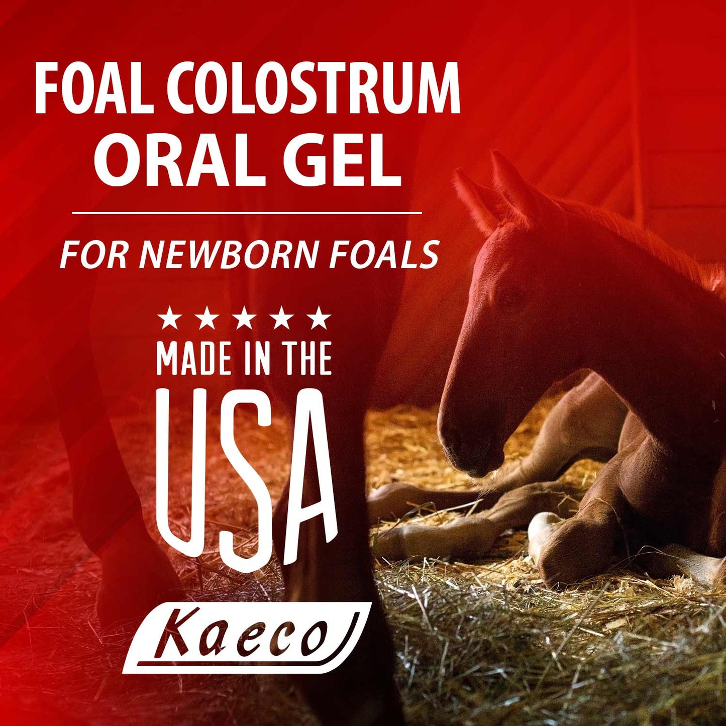 foal colostrum oral gel 30 ml tube