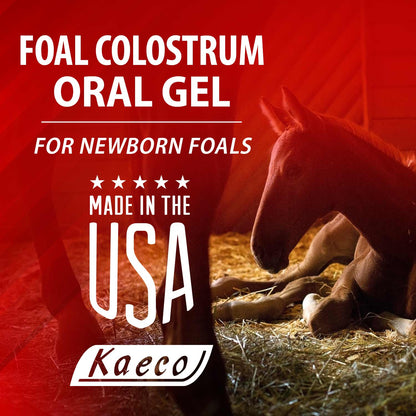 Foal Colostrum Oral Gel 30 ml tube