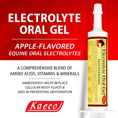 Electrolyte Oral Gel 30mL