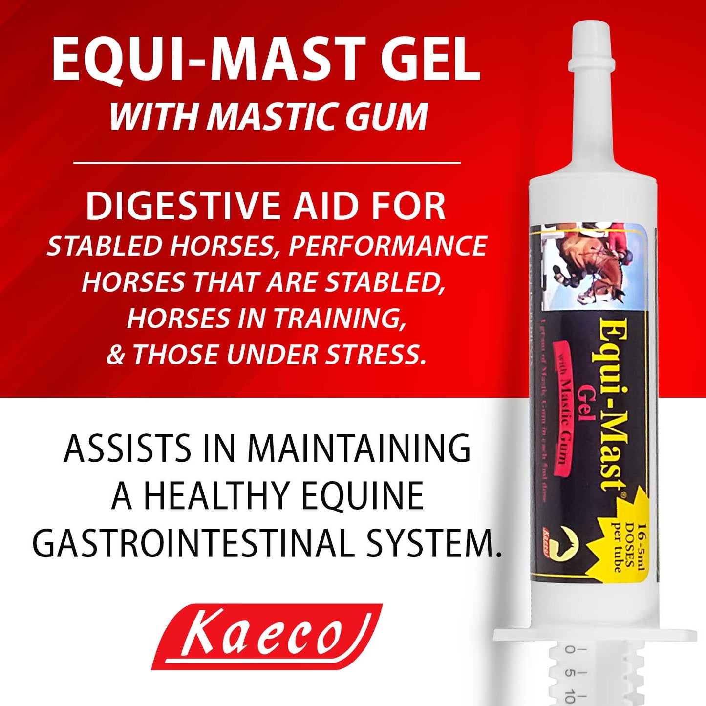 equi-mast gel 16 daily doses, 80ml