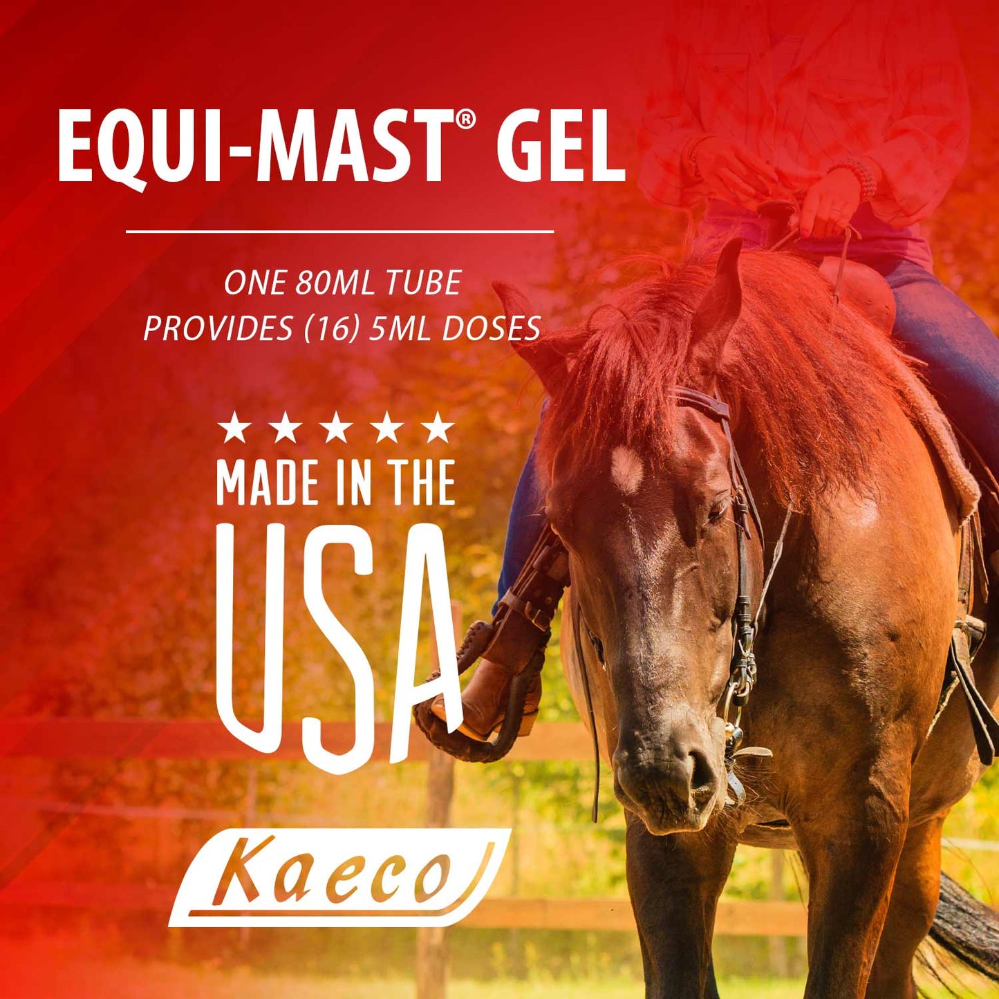 equi-mast gel 16 daily doses, 80ml
