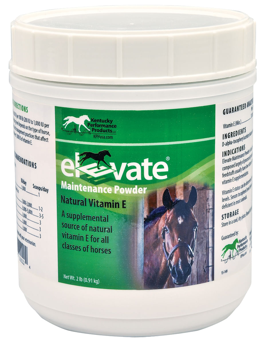 elevate maintenance powder, 2 lb