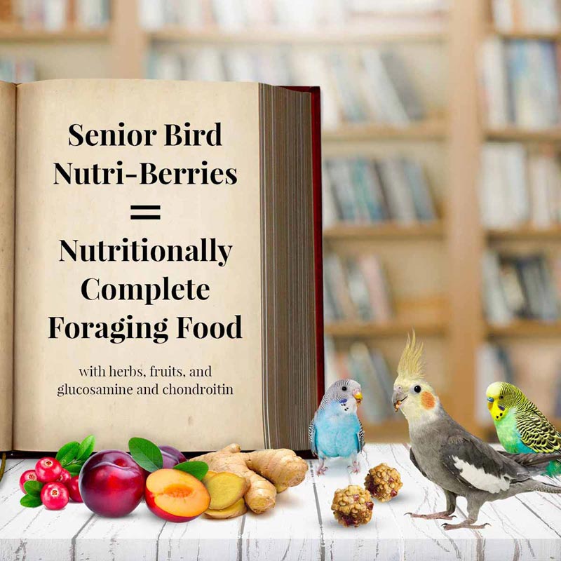 lafeber senior bird nutri-berries for parakeet & cockatiel, 10 oz bag