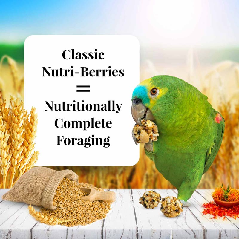 lafeber classic parrot nutri-berries, 10 oz bag