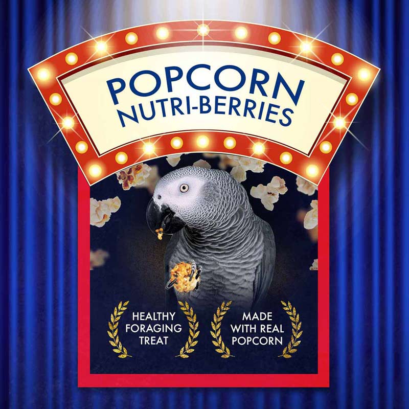 lafeber parrot popcorn nutri-berries, 4 oz bag