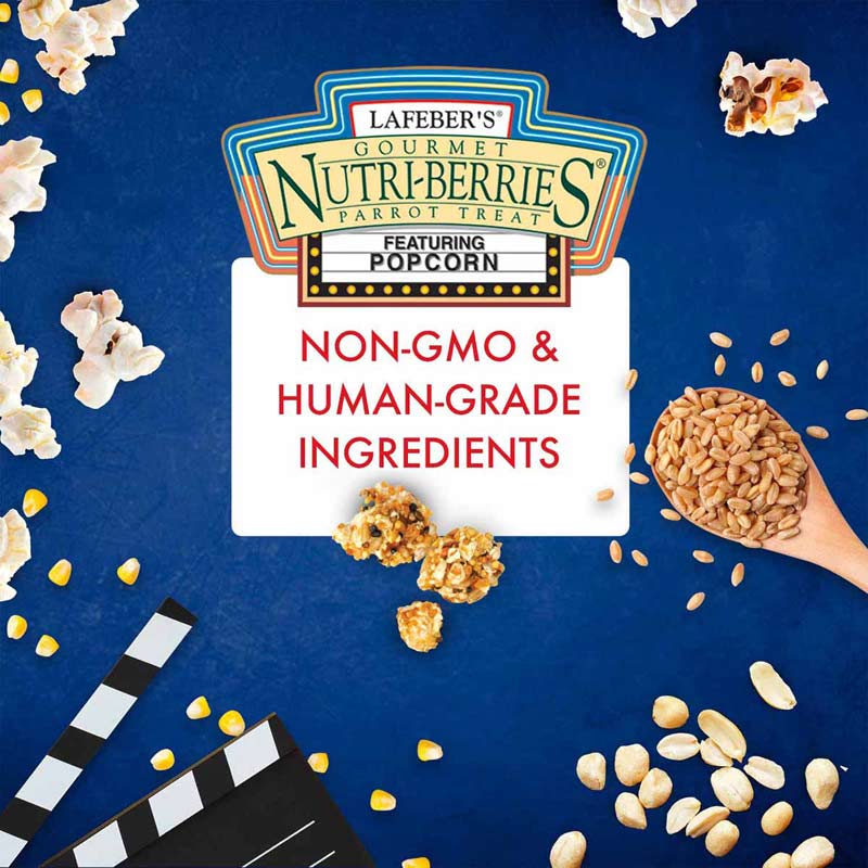 lafeber parrot popcorn nutri-berries, 4 oz bag