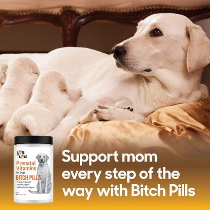 Lots of Love Bitch Pills Powder 16 oz