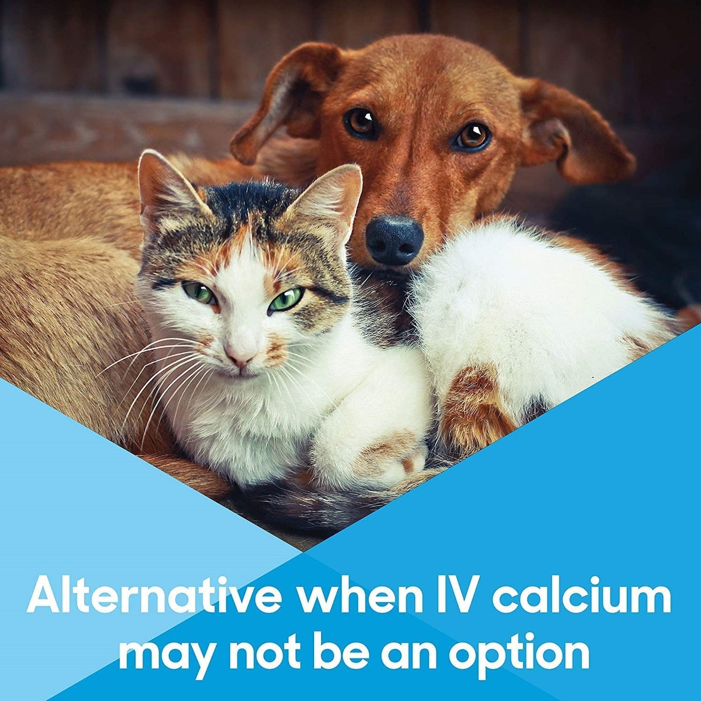 lots of love calcium now 15 ml