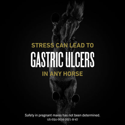 UlcerGard Oral Paste for Horses, Singles