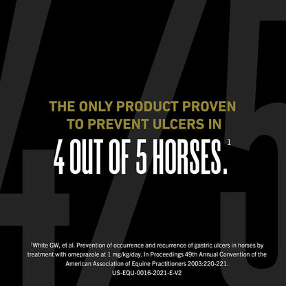 UlcerGard Oral Paste for Horses, Singles