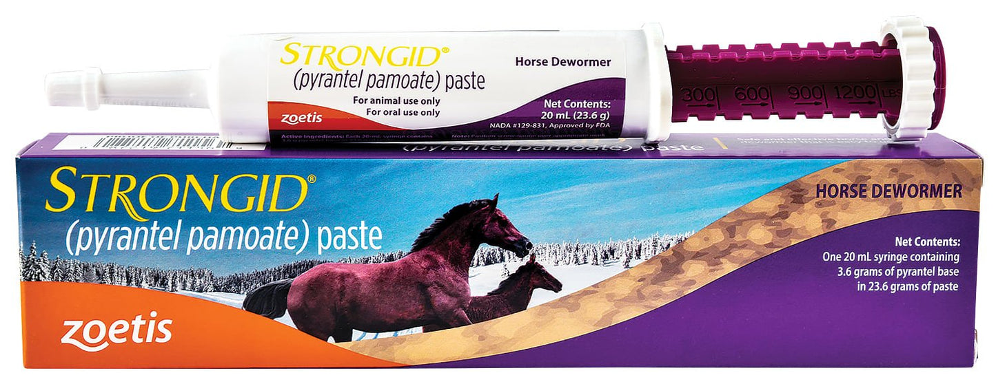 strongid paste 20ml