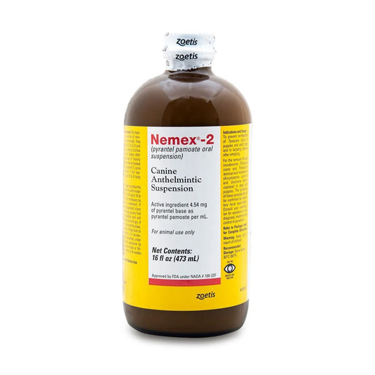 Zoetis Nemex 2 | 16 oz bottle