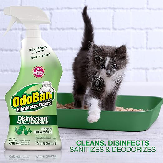 odoban disinfectant ready-to-use eucalyptus 32oz spray