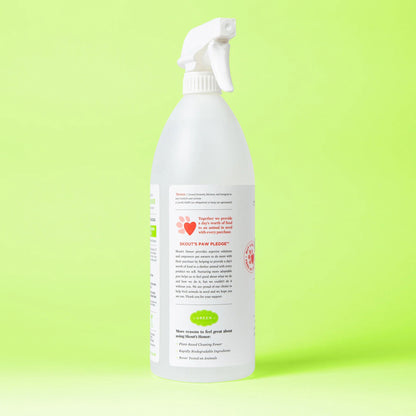 Stain & Odor Remover, 35oz