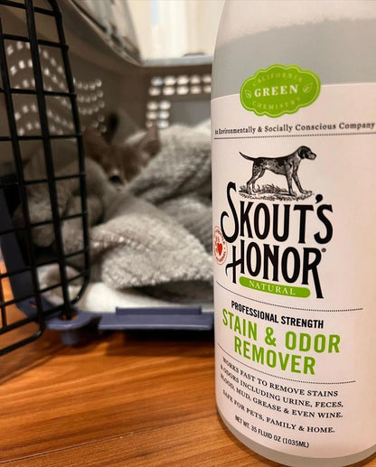 Stain & Odor Remover, 35oz