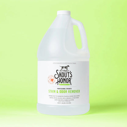 Stain & Odor Remover, 128oz