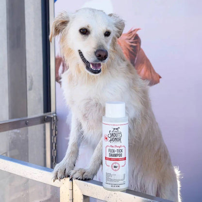 Flea + Tick Shampoo, 16oz