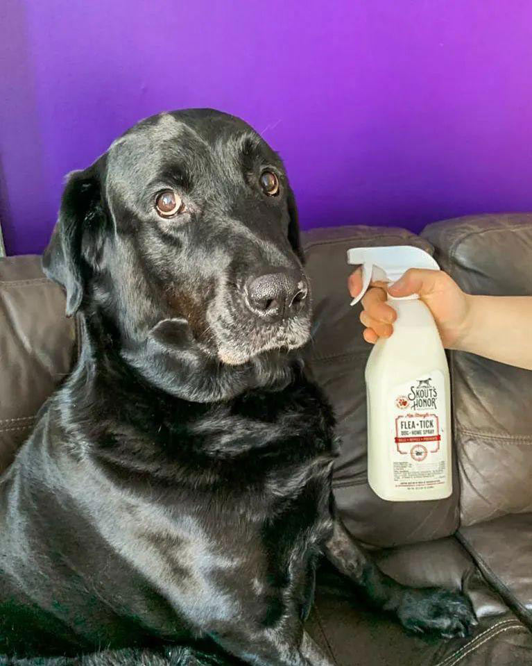 flea + tick dog & home spray, 28oz