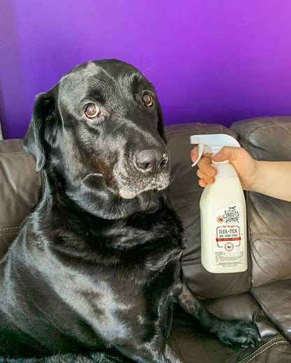 Flea + Tick Dog & Home Spray, 28oz