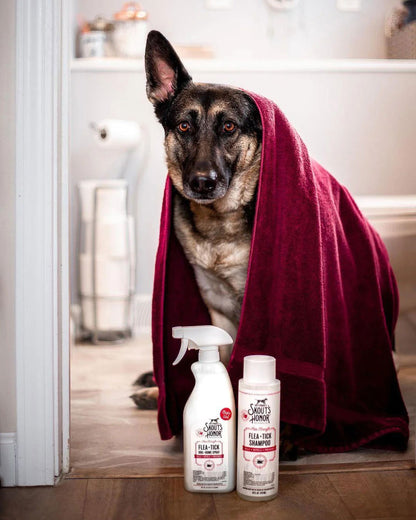 Flea + Tick Dog & Home Spray, 28oz