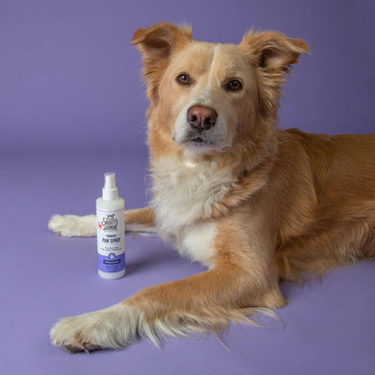 Probiotic Paw Spray, 8oz