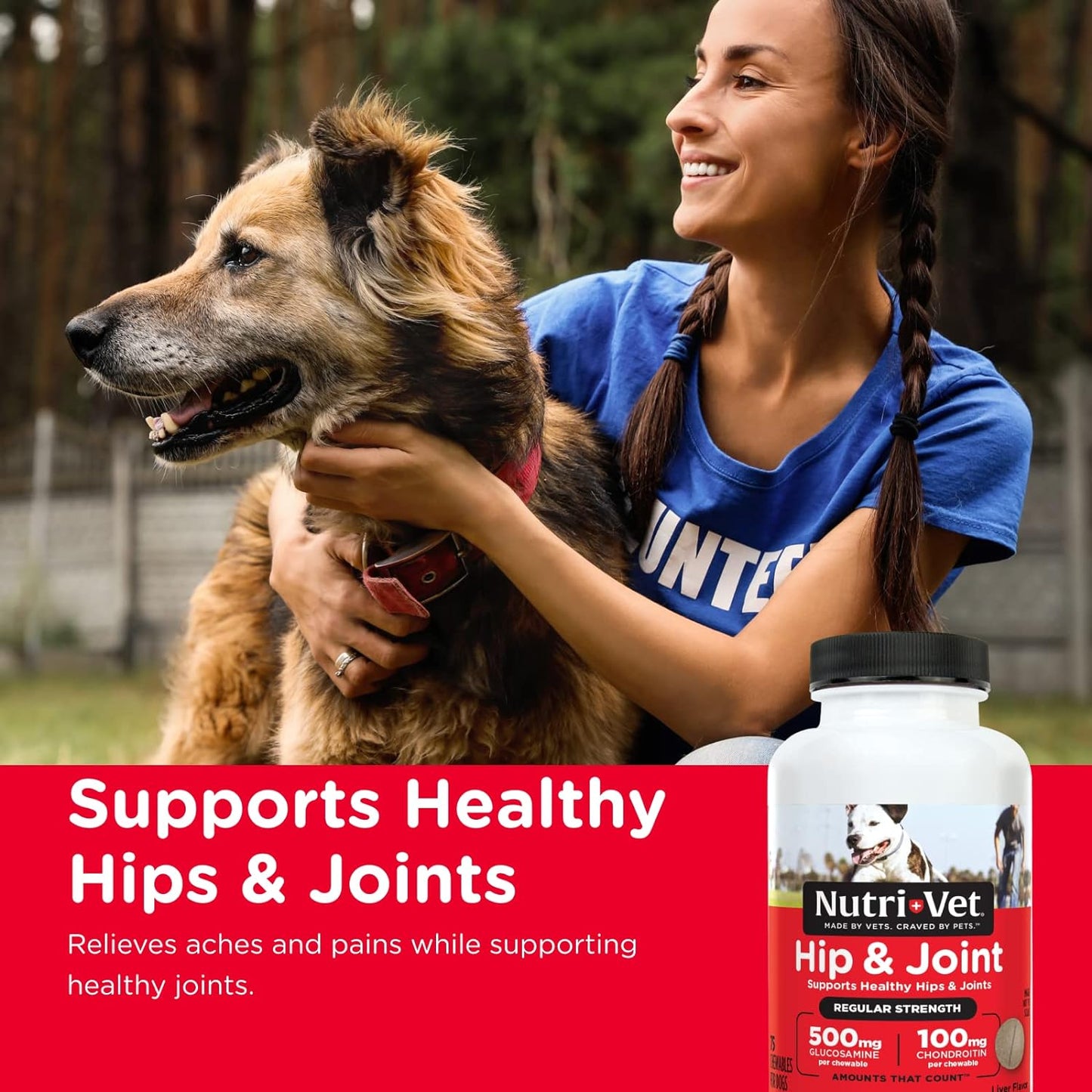 nutri-vet hip & joint regular strength chewables for dogs, liver, 75 count