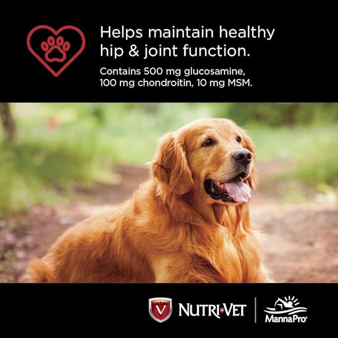 nutri-vet hip & joint regular strength chewables for dogs, liver, 180 count