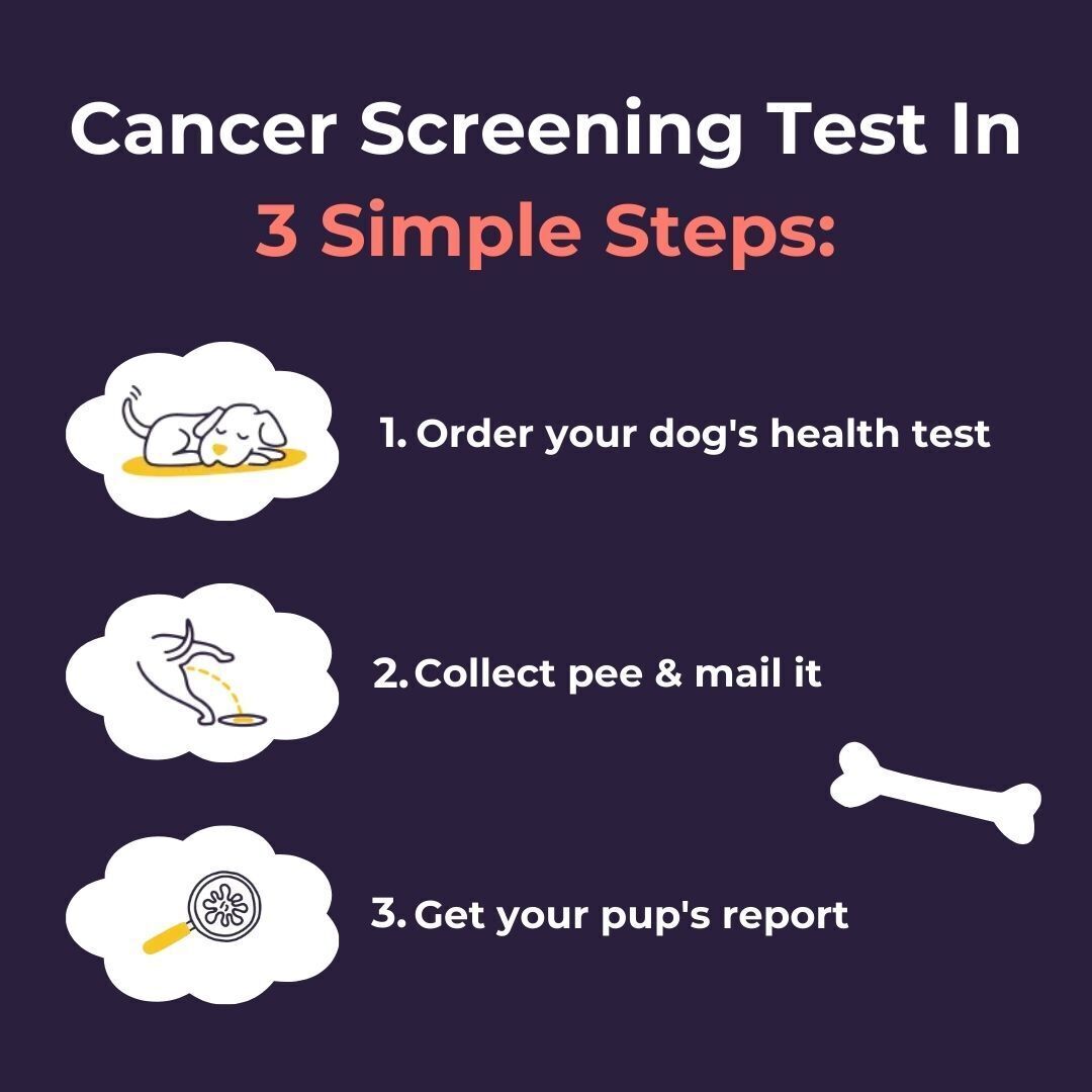 oncotect essential dog cancer screening test kit