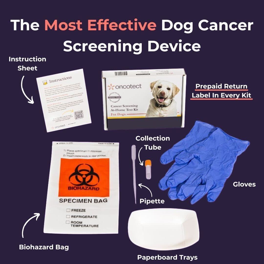 oncotect essential dog cancer screening test kit