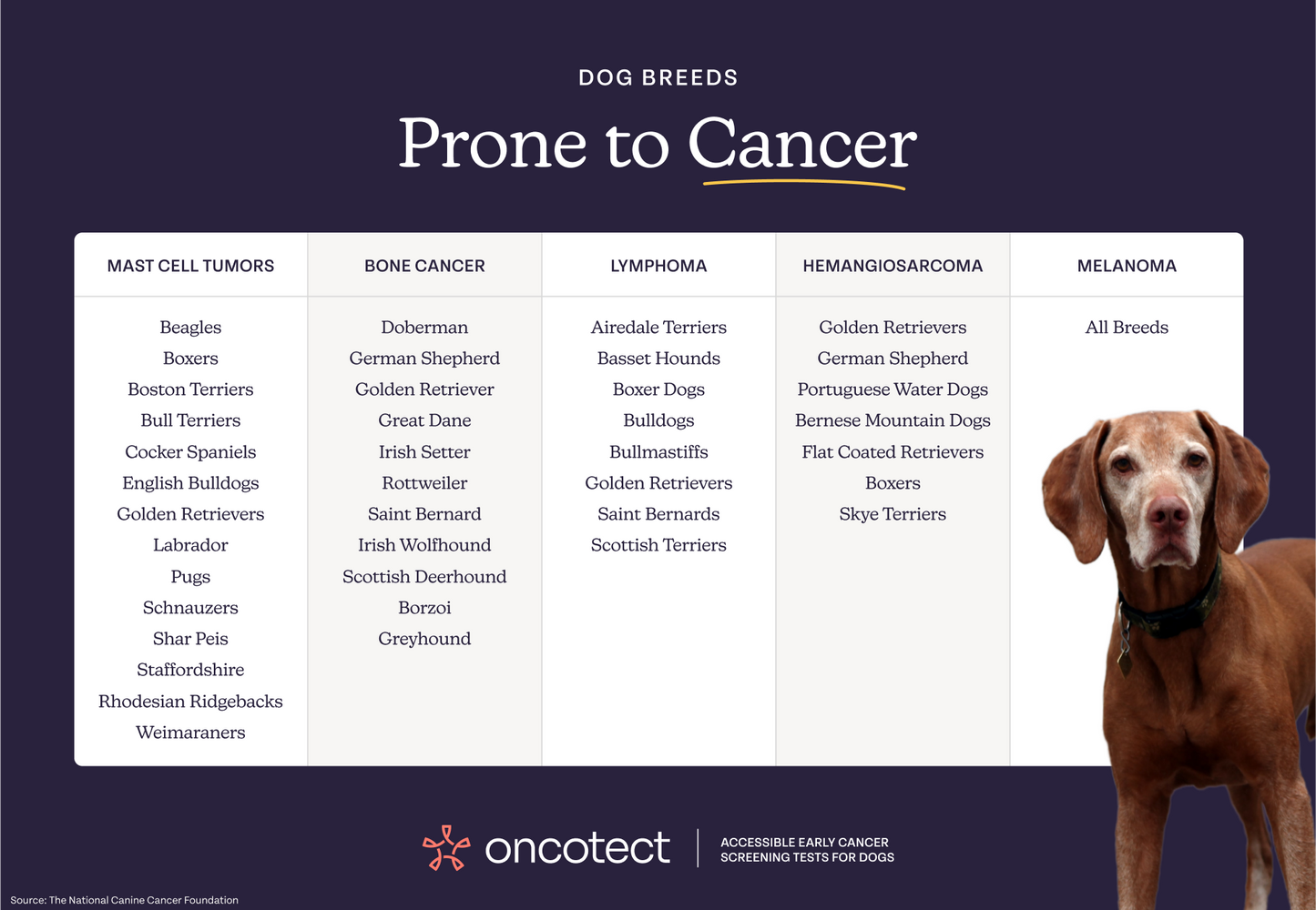 oncotect essential dog cancer screening test kit