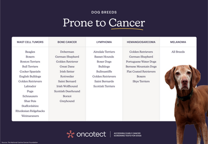 Oncotect Essential Dog Cancer Screening Test Kit