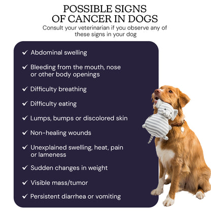 Oncotect Essential Dog Cancer Screening Test Kit