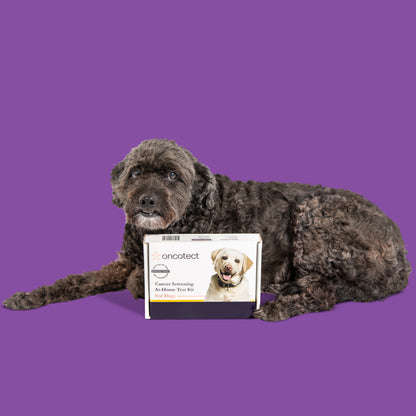 Oncotect Essential Dog Cancer Screening Test Kit