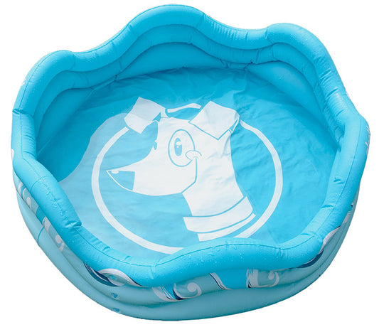alcott Inflatable Pool