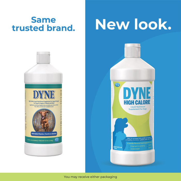 dyne high calorie liquid for dogs, 32 oz