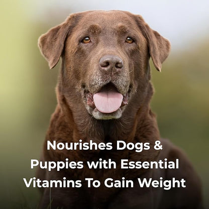Dyne High Calorie Liquid for Dogs, gallon