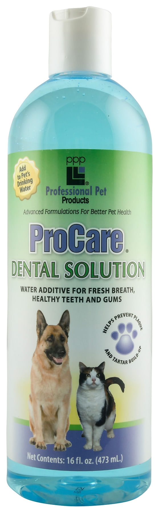 procare dental solution, 16 oz