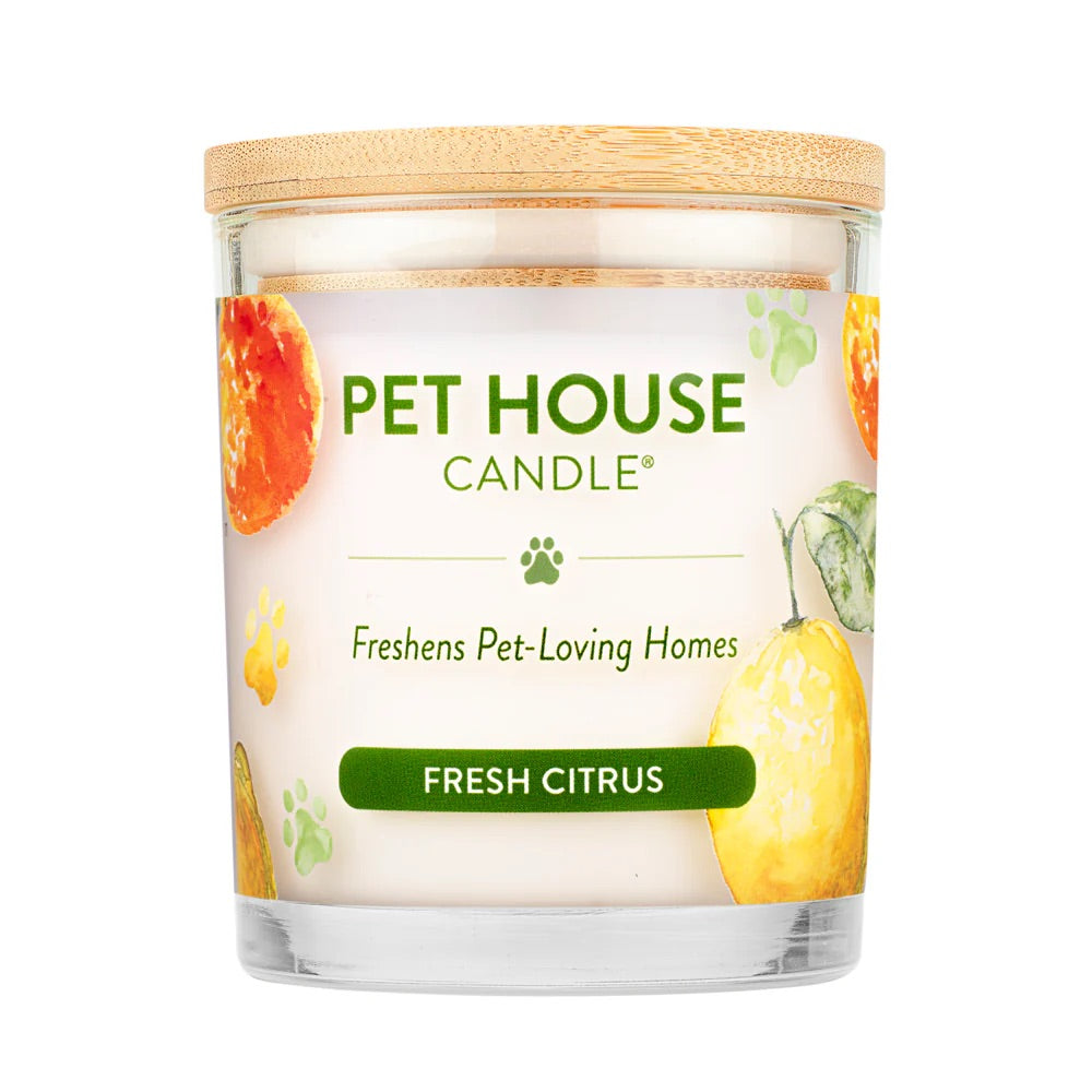 9oz candle, fresh citrus