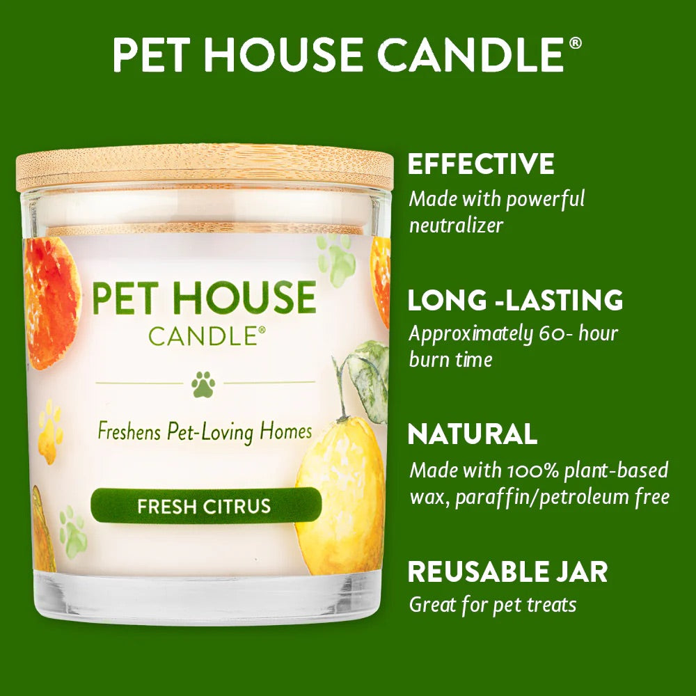 9oz candle, fresh citrus